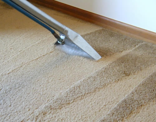 Cost to get Your Carpets Professionally Cleaned