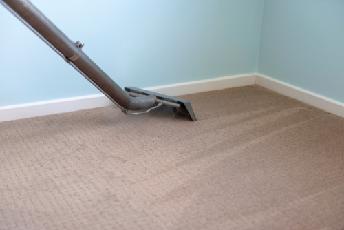 What type of carpet cleaning is best