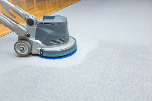 Are professional carpet cleaners worth it