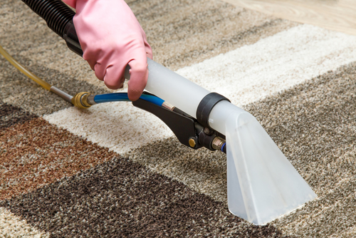 Why you should hire a professional carpet cleaner