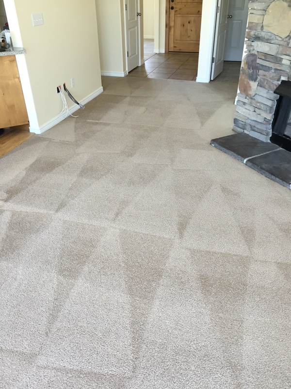 carpet cleaning louth