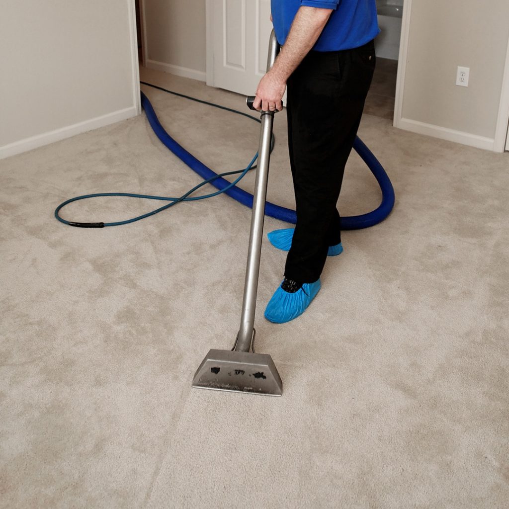 carpet rug upholstery cleaning kildare