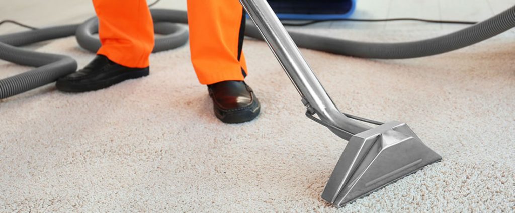carpet rug upholstery cleaning north dublin