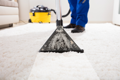 Professional Carpet Cleaning in Dublin