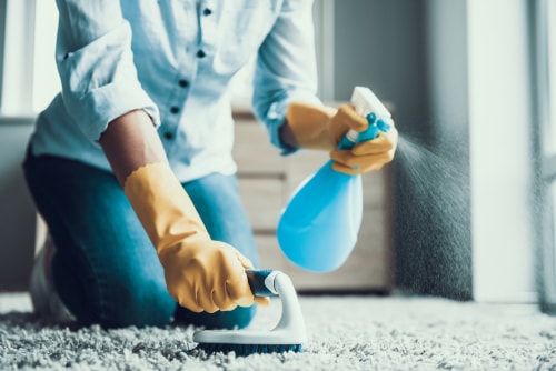 How do you deodorize carpet after cleaning?