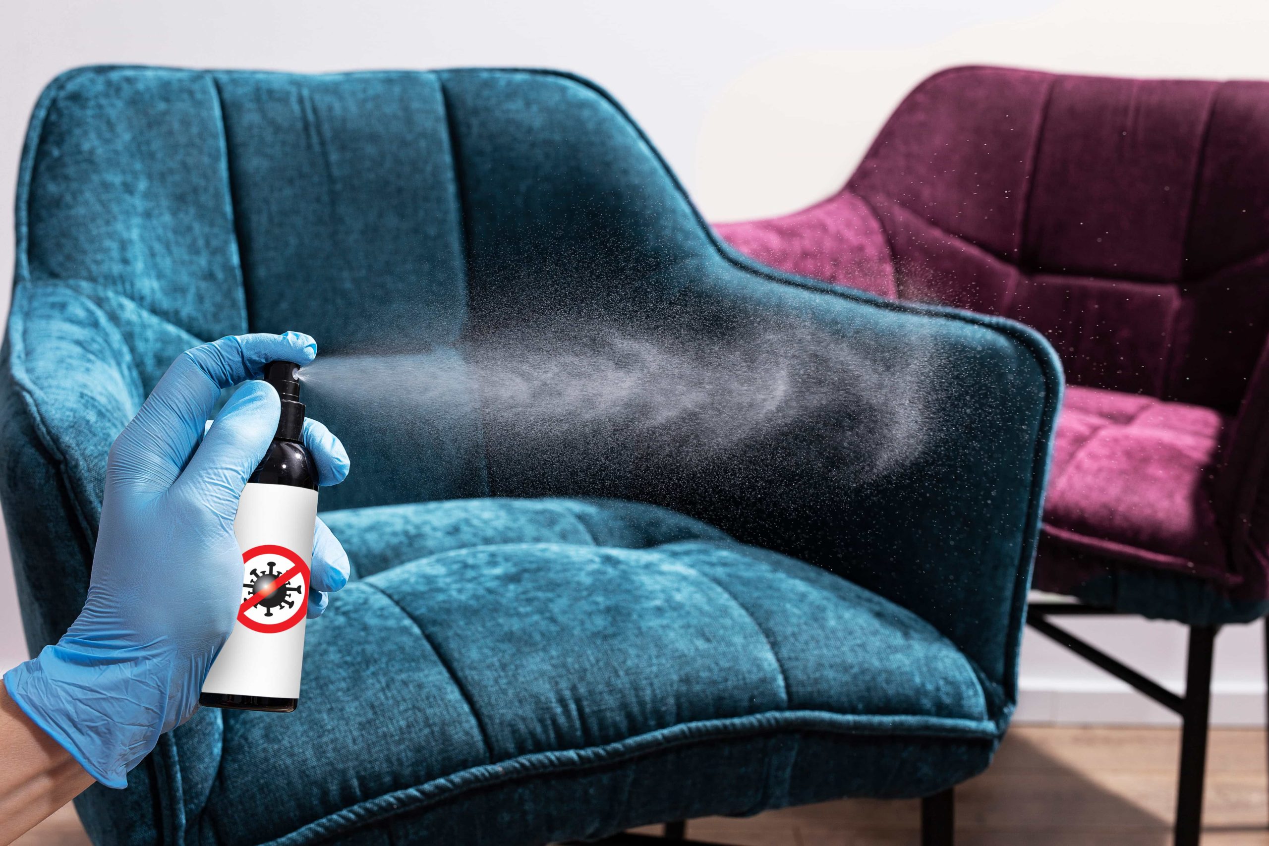 How do you disinfect a sofa