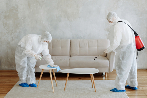 sofa cleaning services in Dublin