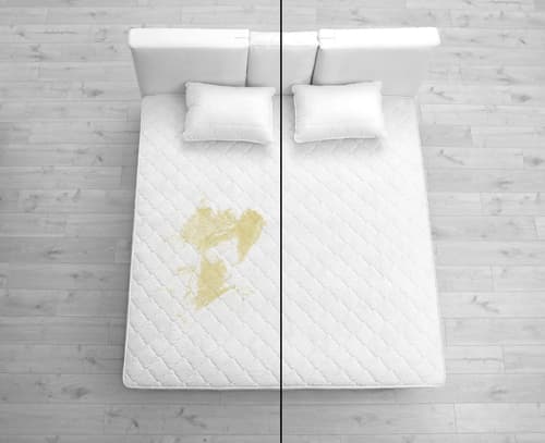 Can you professionally clean a mattress