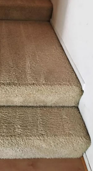 carpet cleaners dublin after