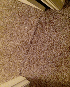 restoring carpets dublin before